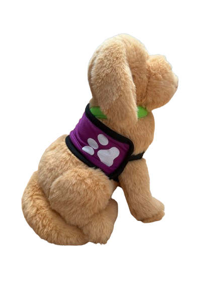 Brave Buddy Plushie